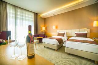 Отель Ramada by Wyndham Podgorica Подгорица Двухместный номер Делюкс с 2 отдельными кроватями - Для некурящих-1